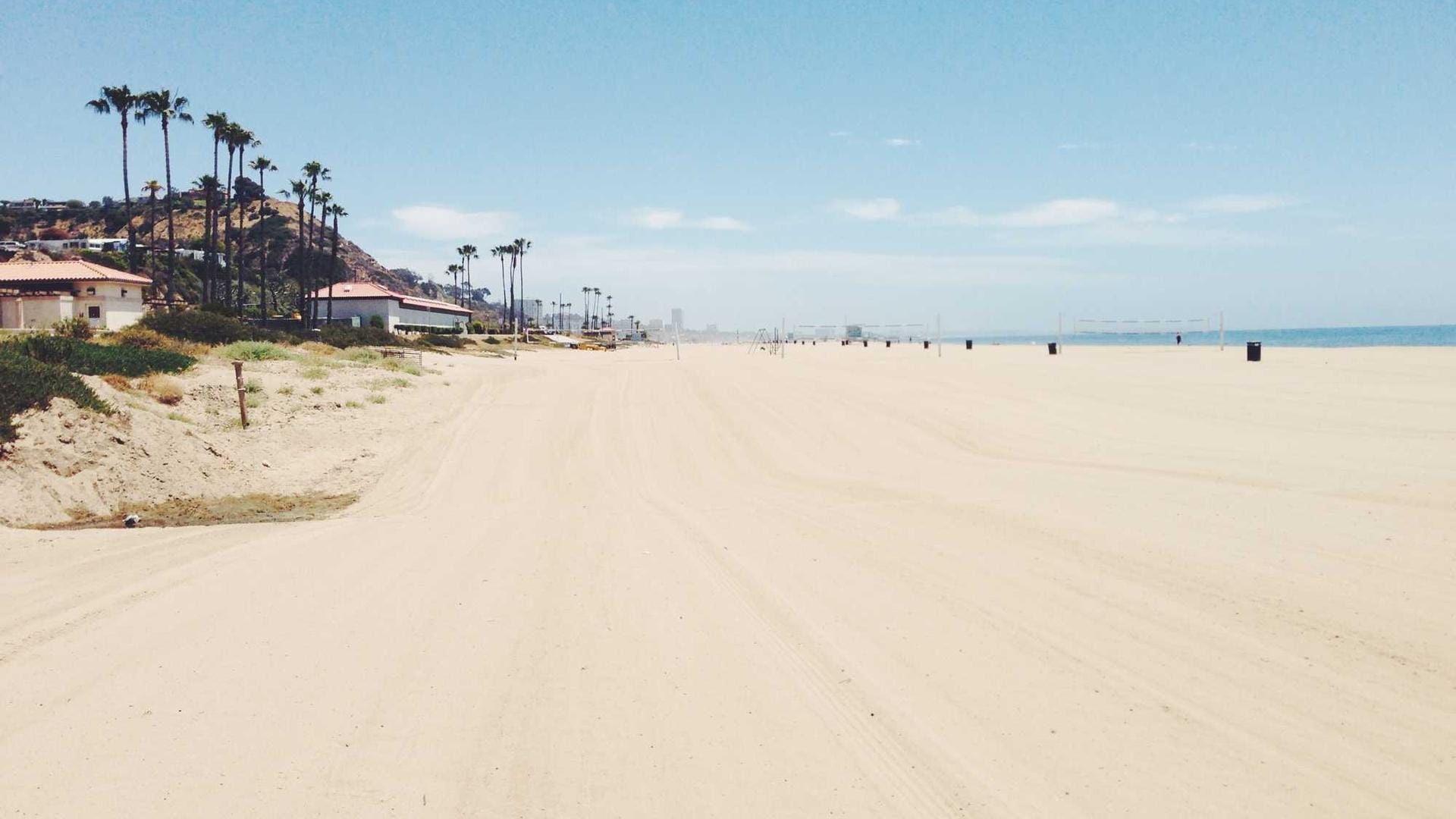 A lush green field under a bright sky, representing agriculture and growth.